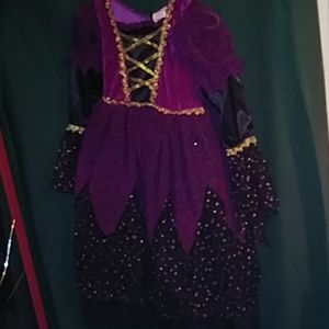 Princess/witch Halloween costume